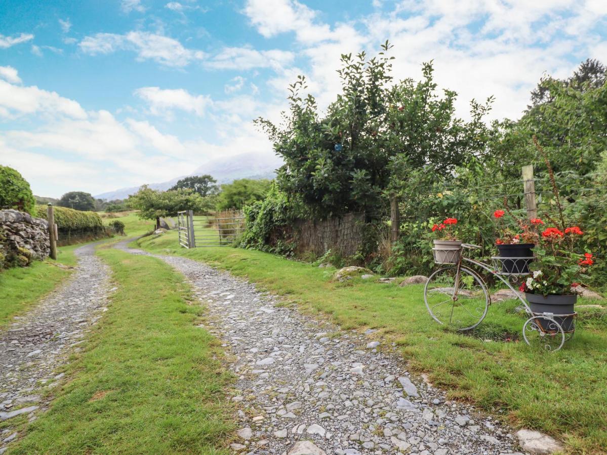 Cwm Caeth Cottage Caernarfon Dış mekan fotoğraf